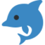 dolphin :dolphin: