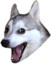 :badpundog: