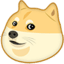 :doge: